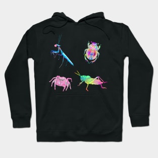 Rainbow Bugs Assortment Hoodie